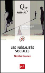 Les inégalités sociales - Duvoux Nicolas