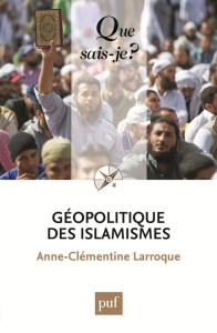 Géopolitique des islamismes - Larroque Anne-Clémentine