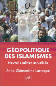 Géopolitique des islamismes. 2e édition - Larroque Anne-Clémentine