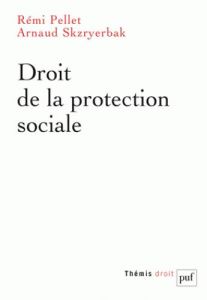 Droit de la protection sociale - Pellet Rémi ; Skzryerbak Arnaud