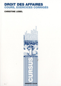 Droit des affaires - Lebel Christine