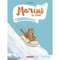 Marius le chat Tome 12 : Complètement givré ! - Moser Erwin ; Almeida Aurélien d'