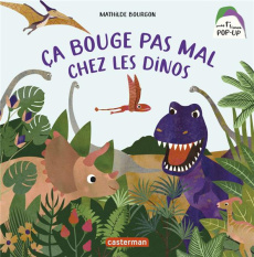 Ça bouge pas mal chez les dinos - Bourgon Mathilde