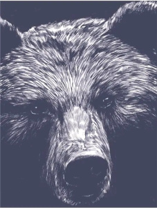 La Dernière Reine - Rochette Jean-Marc