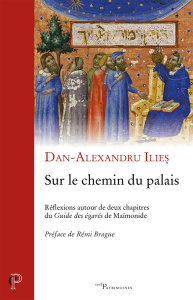 Sur le chemin du palais - Ilies Dan-Alexandru
