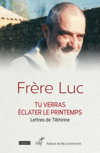 Tu verras éclater le printemps. Lettres à son ami Georges Guillemin 1961-1996 - FRERE LUC