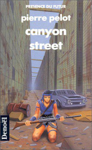 Canyon street - Pelot Pierre