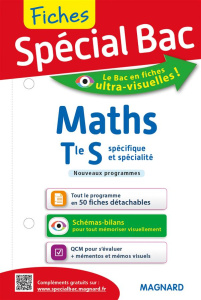 SPECIAL BAC FICHES MATHS TS - FORZO GIANNI