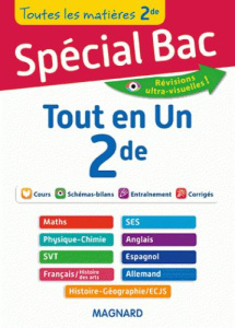 Tout en Un 2de. Toutes les matières - Fortain dit Fortin Fabrice ; Mariaud Christian ; F