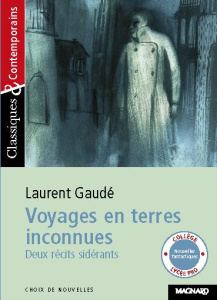 Voyages en terres inconnues. Deux récits sidérants - Gaudé Laurent ; Pellissier Cécile
