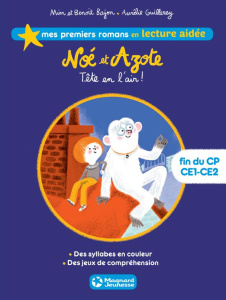 Noé et Azote Tome 4 : Tête en l'air ! Lecture aidée - MIM/GUILLEREY/BAJON