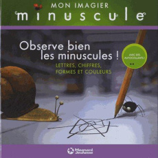 Observe bien les minuscules ! Lettres, chiffres, formes et couleurs