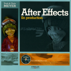 After Effects. En production, avec 1 DVD - Meyer Trish ; Meyer Chris ; Prout Daniel ; Lafarge