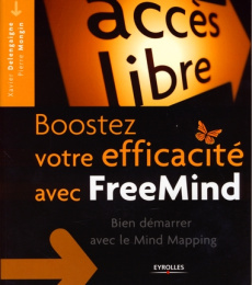 Boostez votre créativité avec FreeMind. Bien démarrer avec le Mind Mapping - Delengaigne Xavier ; Mongin Pierre