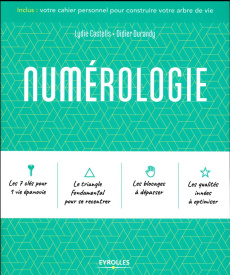 Numérologie - Castells Lydie ; Durandy Didier ; Hô Thanh Hung