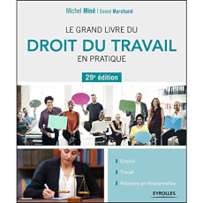 Le grand livre du droit du travail en pratique. 29e édition - Miné Michel