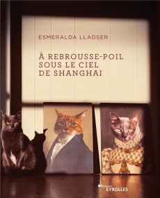 A rebrousse-poil sous le ciel de Shanghai - Lladser Esmeralda