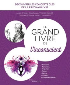 Le grand livre de l'inconscient. Découvrir les concepts clés de la psychanalyse - Bouchoux Jean-Charles ; Paquis Christine ; Tomasel