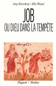 Job. Ou Dieu dans la tempête - Eisenberg Deborah ; Wiesel Elie