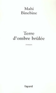 Terre d'ombre brûlée - Binebine Mahi