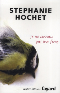 Je ne connais pas ma force - Hochet Stéphanie