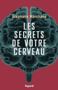 Les secrets de votre cerveau - Marchand Stéphane