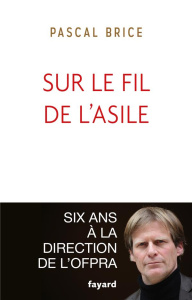 Sur le fil de l'asile - Brice Pascal
