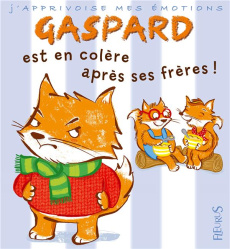 Gaspard est en colère contre ses frères ! - Beaumont Emilie ; Eude Valéria ; Alder Charlie