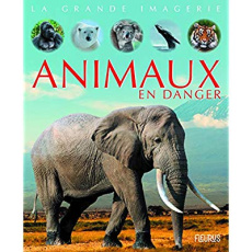 Animaux en danger - Boccador Sabine ; Beaumont Emilie ; Arnoud Cécile