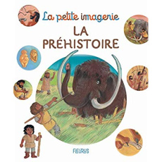 La préhistoire - Beaumont Emilie ; Didierjean Marie-Anne ; Moncel M