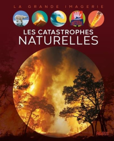 Les catastrophes naturelles - Franco Cathy ; Dayan Jacques