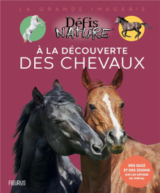 A la découverte des chevaux - Neveux Claire