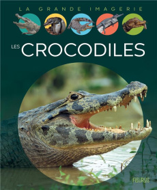 Les crocodiles - Franco Cathy ; Carré Benjamin