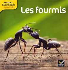 Les fourmis. Grande section, CP, CE1 (Cycle 2), Edition 2013 - Videau Valérie