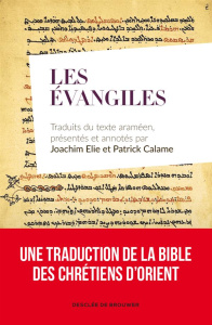 Les Evangiles - Calame Patrick ; Calame Joachim Elie