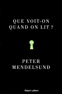 Que voit-on quand on lit ? Une phénoménologie avec illustrations - Mendelsund Peter ; Demange Odile