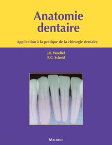 Anatomie dentaire. Application à la pratique de la chirurgie dentaire - Woelfel Julian B. ; Scheid Rickne ; Savard Guillau