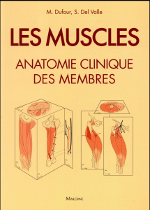 Les muscles. Anatomie clinique des membres - Dufour Michel ; Valle Acedo Santiago del