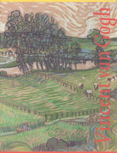 VINCENT VAN GOGH - 2VOL - Pickvance Ronald ; Van Der Wolk Johannes ; Van Heu