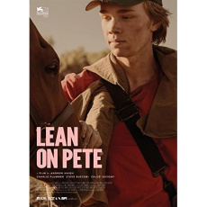 La route sauvage - Vlautin Willy ; Baranger Luc