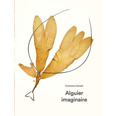 Alguier imaginaire - Guisset Constance