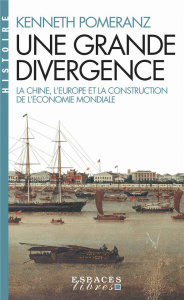 Une grande divergence. La Chine, l'Europe et la construction de l'économie mondiale - Pomeranz Kenneth ; Wang Nora ; Arnoux Mathieu ; Mi