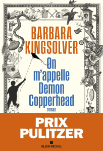 On m'appelle Demon Copperhead - Kingsolver Barbara ; Aubert Martine