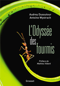 L'Odyssée des fourmis - Dussutour Audrey ; Wystrach Antoine ; Vidard Mathi