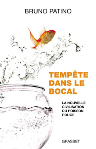 Tempête dans le bocal. La nouvelle civilisation du poisson rouge - Patino Bruno
