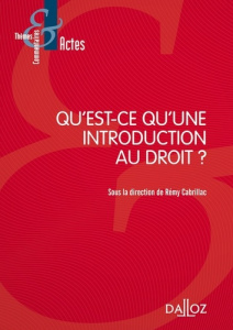 Qu'est-ce qu'une introduction au droit ? - Cabrillac Rémy