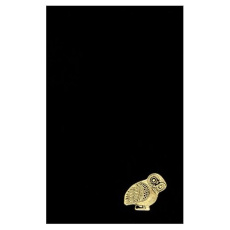 Géographie. Tome 2, Livres III et IV (Espagne-Gaule), Edition bilingue français-grec ancien - STRABON