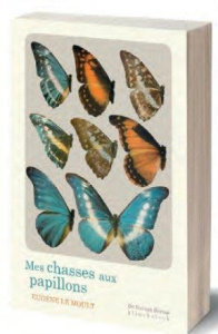 Mes chasses aux papillons - Le Moult Eugène