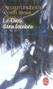 Le Dieu dans l'ombre - Lindholm Megan ; Richetin Claudine