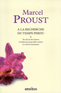 A la recherche du temps perdu. Volume 1 : Du côté de chez Swann ; A l'ombre des jeunes filles en fle - Proust Marcel